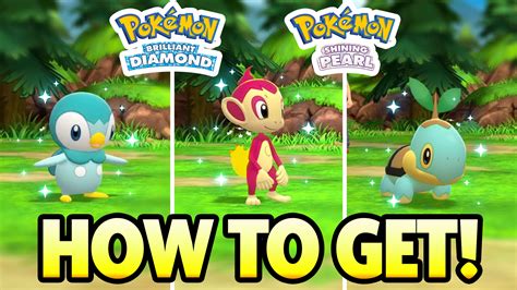 how many soft resets to get a shiny starter|Pokemon Sword and Shield – How to Get Shiny Starters.